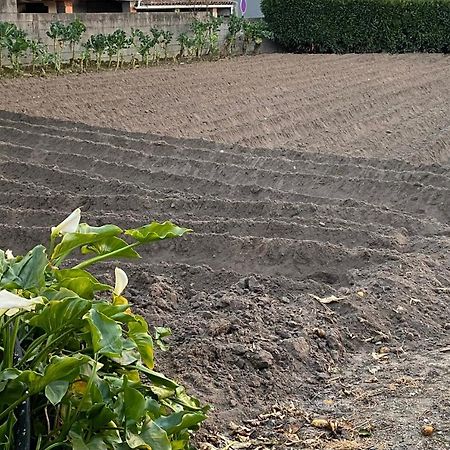דירות Juncal  Casinha Da Avo Rosario מראה חיצוני תמונה
