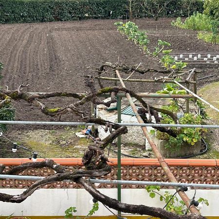 דירות Juncal  Casinha Da Avo Rosario מראה חיצוני תמונה
