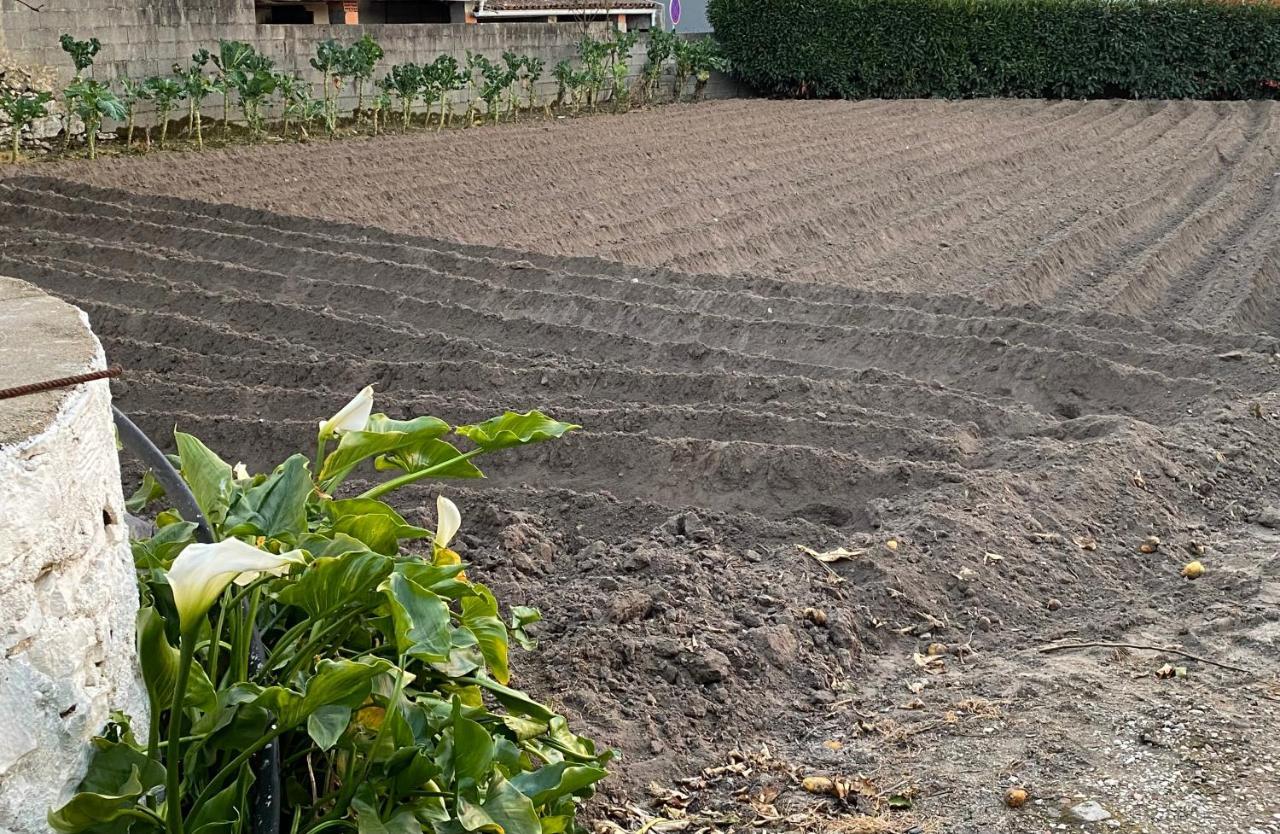 דירות Juncal  Casinha Da Avo Rosario מראה חיצוני תמונה